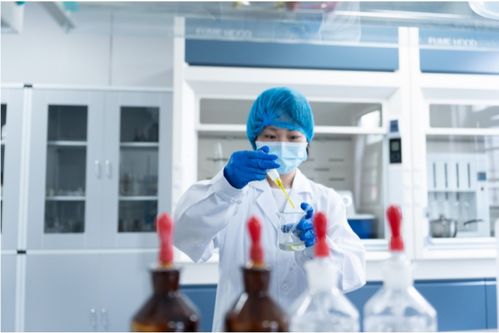 全產業鏈鑄就卓越品質，一站式服務賦能共贏未來——康西爺食品的技術服務之道