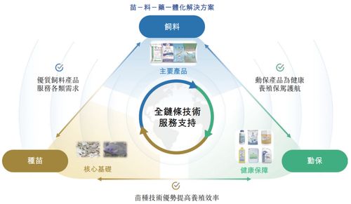 海大國際遞表港交所 分拆自海大集團，2024年凈利潤強勢翻倍