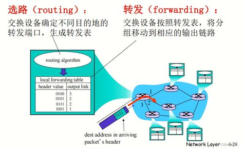 計(jì)算機(jī)網(wǎng)絡(luò)與因特網(wǎng)